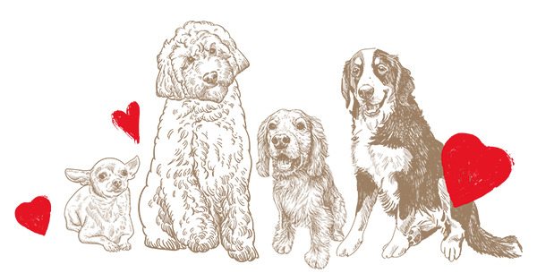 illustration of dogs